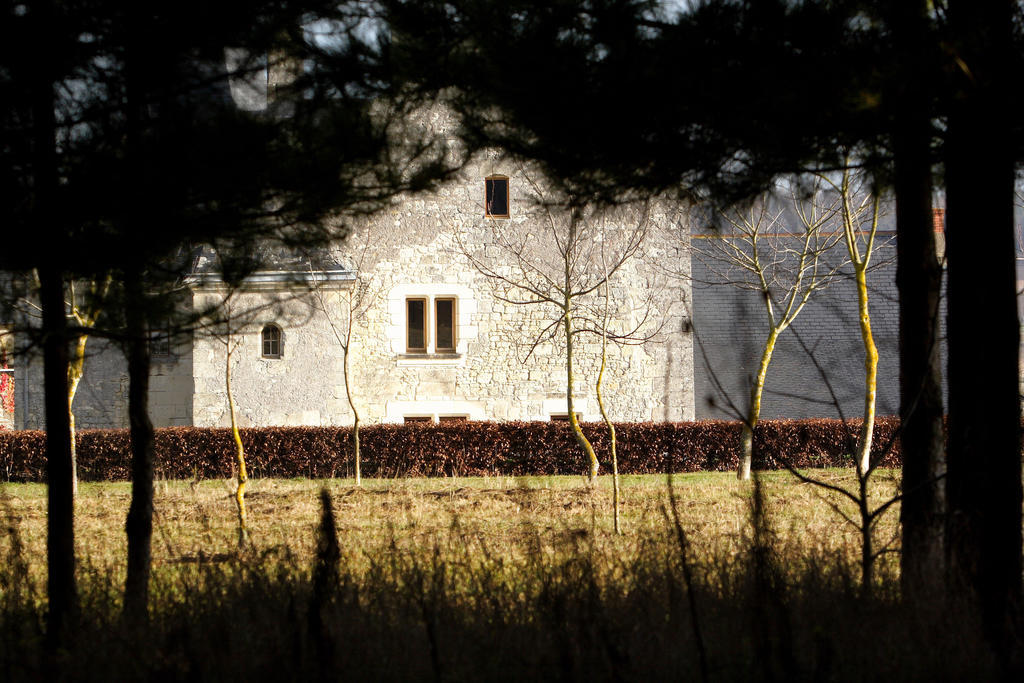Bed and Breakfast Manoir Du Bois Noblet Louerre Exterior foto