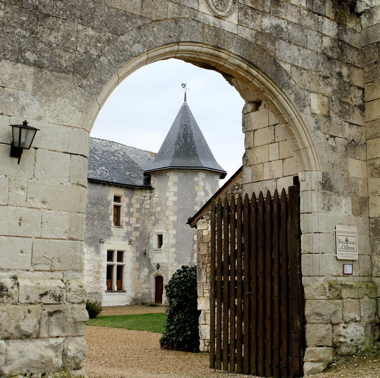 Bed and Breakfast Manoir Du Bois Noblet Louerre Exterior foto