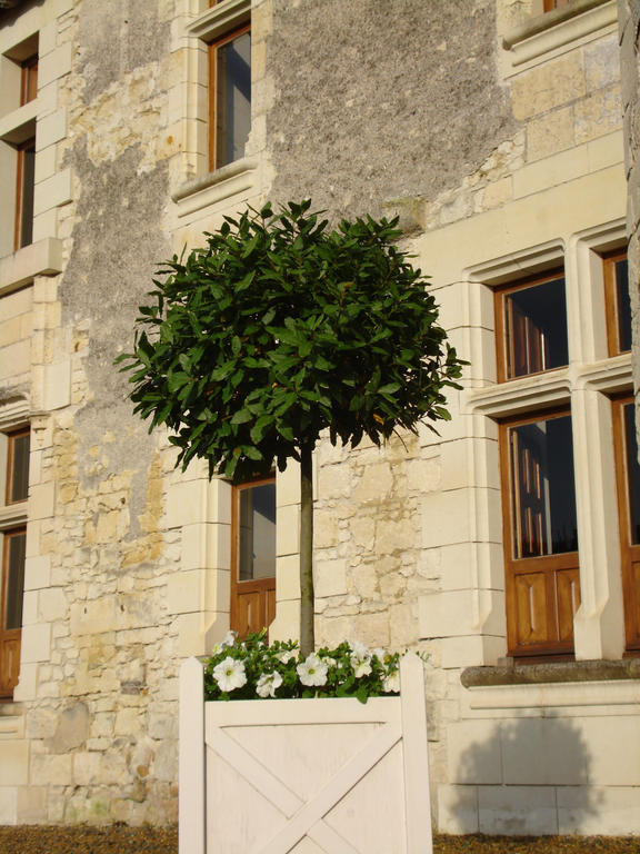 Bed and Breakfast Manoir Du Bois Noblet Louerre Exterior foto