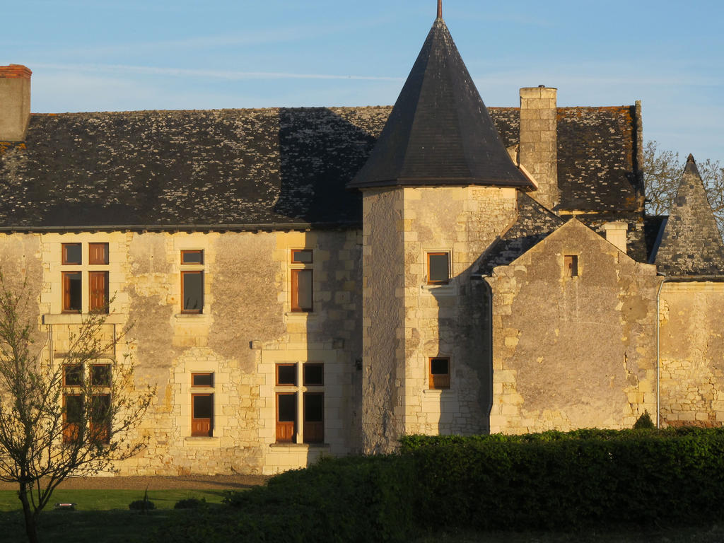 Bed and Breakfast Manoir Du Bois Noblet Louerre Exterior foto